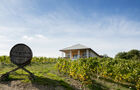 Le Vignoble Marchais
