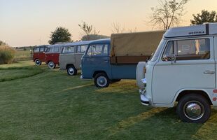Hippiebus