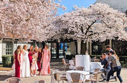 ❤ Moge de lente jullie het leven lang achtervolgen ❤ - Foto 1