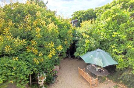 Hoe een tuin, reizen en honderden huwelijken samenkwamen - Foto 1