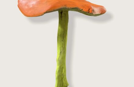 Reuze paddenstoelen maken - Foto 1