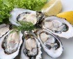 Oesters voor beginners