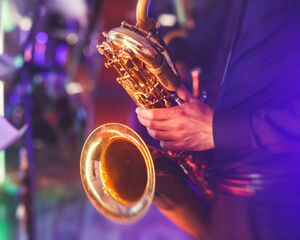 Organisator Gent Jazz en Jazz Middelheim vraagt faillissement aan