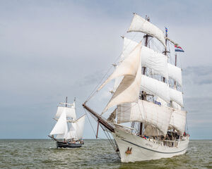Kom als VIP naar Oostende voor Anker & Ostendaise!