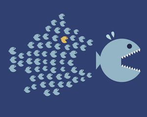 Hoe ontwikkel je leiderschapsvaardigheden als eventprofessional? Hoe ontwikkel je leiderschapsvaardigheden als eventprofessional?