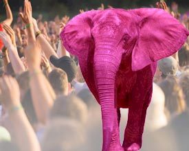 Roze olifant tegen alcohol en drugs