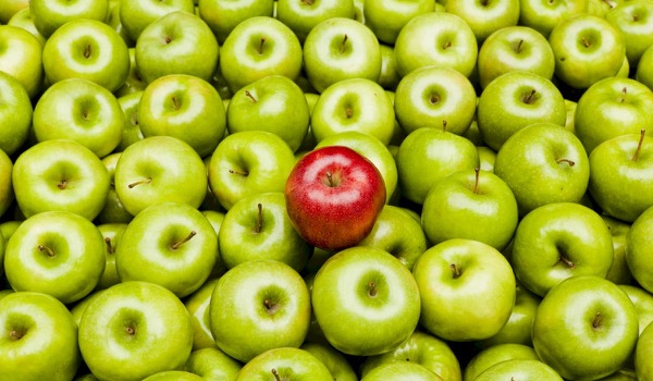TOP 7 eigenschappen van een geweldige eventmanager TOP 7 eigenschappen van een geweldige eventmanager
