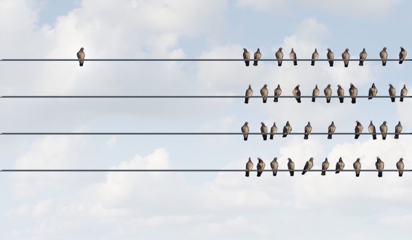 Volg de crowd: hoe je jouw evenement kunt crowdsourcen Volg de crowd: hoe je jouw evenement kunt crowdsourcen