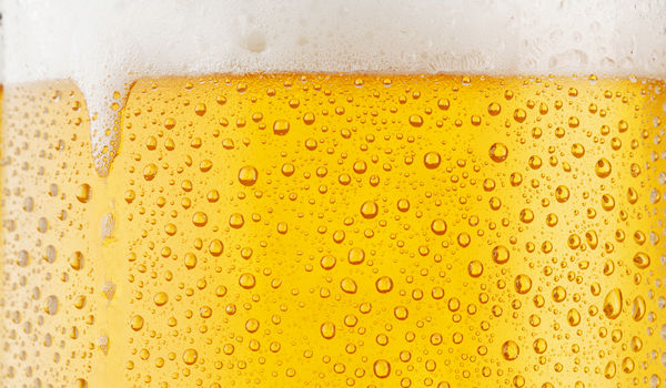 Festival legt 7km lange bier-pijplijn aan Festival legt 7km lange bier-pijplijn aan