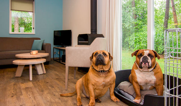 Landal Business Line faciliteert succesvolle event 'Doggy Days' Landal Business Line faciliteert succesvolle event 'Doggy Days'