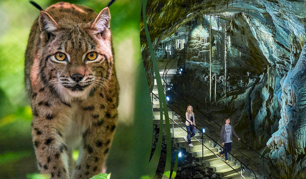 Ontdek wat de natuur met je doet op het Domein van de Grotten van Han Ontdek wat de natuur met je doet op het Domein van de Grotten van Han