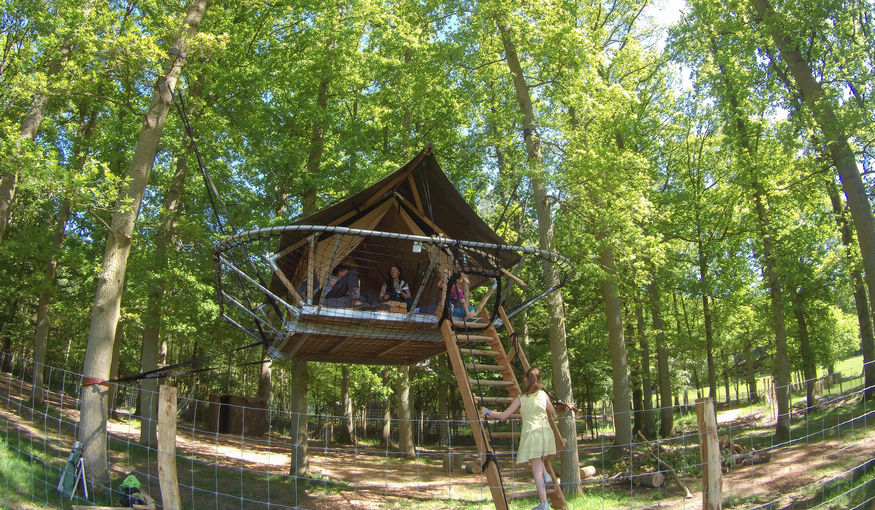 Unieke overnachting in het hart van het Wildpark Unieke overnachting in het hart van het Wildpark