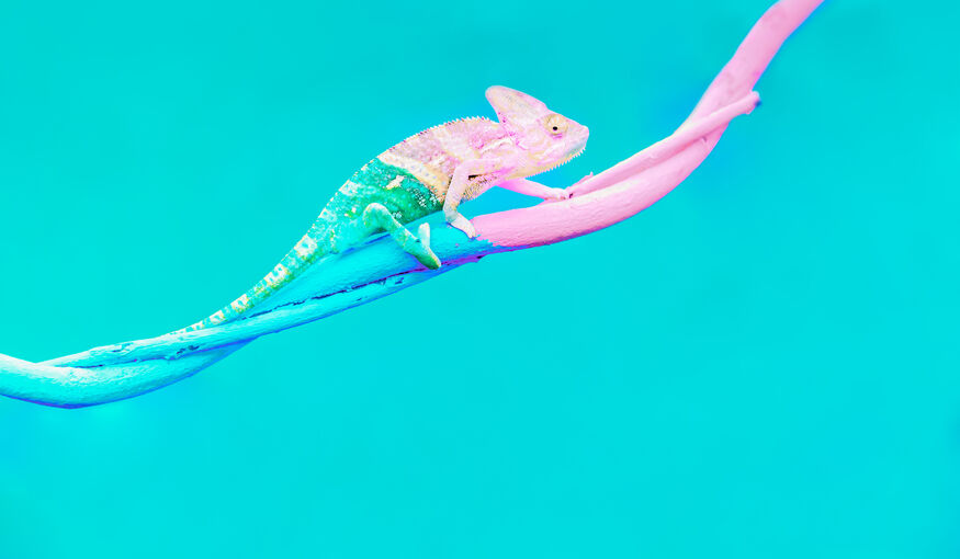 6 uitdagingen die de eventsector zullen veranderen 6 uitdagingen die de eventsector zullen veranderen